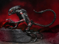 Preview: Night Cougar Alien