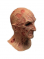 Preview: Freddy Krueger Maske