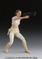 Preview: Padme Amidala SHF