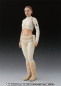 Preview: Padme Amidala SHF