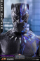 Preview: Black Panther Hot Toys