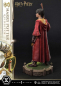 Preview: Harry Potter (Quidditch Edition) Statue 1:6 Prime Collectibles, 31 cm