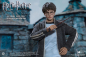 Preview: Harry Potter Teenage Version