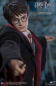 Preview: Harry Potter Teenage Version