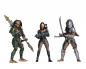 Preview: Predator Serie 18