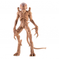 Preview: Pumpkinhead Actionfigur, Das Halloween Monster, 23 cm