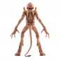 Preview: Pumpkinhead Action Figure, Pumpkinhead, 23 cm