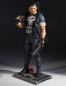 Preview: Punisher Collectors Gallery