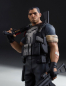 Preview: Punisher Collectors Gallery