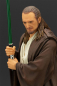 Preview: Qui-Gon Jinn