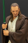 Preview: Qui-Gon Jinn