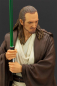 Preview: Qui-Gon Jinn