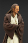 Preview: Qui-Gon Jinn