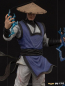 Preview: Raiden