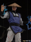 Preview: Raiden