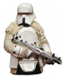 Preview: Range Trooper Büste