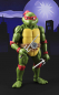 Preview: Raphael SHF