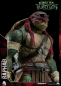 Preview: Raphael Actionfigur 1/6