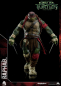 Preview: Raphael Actionfigur 1/6