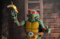 Preview: Raphael 1/4