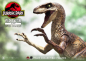 Preview: Velociraptor Jump Statue 1/10 Prime Collectibles, Jurassic Park, 21 cm