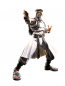 Preview: Rashid S.H.Figuarts