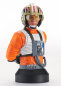 Preview: Red Leader Büste 1:6, Star Wars: Episode IV, 15 cm