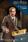 Preview: Remus Lupin