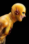 Preview: Reverse Flash ArtFX+