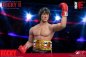 Preview: Rocky Balboa Action Figure 1/6 My Favourite Movie Deluxe, Rocky II, 30 cm