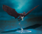 Preview: SHM Mothra & Rodan