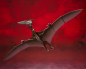 Preview: Rodan (Second Form) Actionfigur S.H.MonsterArts Web Exclusive, Godzilla Singular Point, 10 cm