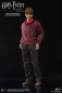 Preview: Ron Weasley 1/6