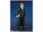 Preview: Ron Weasley SHF