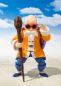 Preview: Muten Roshi