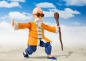 Preview: Muten Roshi