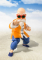 Preview: Muten Roshi