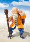 Preview: Muten Roshi