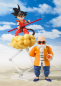 Preview: Muten Roshi