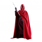 Preview: Royal Guard Hot Toys