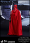 Preview: Royal Guard Hot Toys