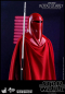 Preview: Royal Guard Hot Toys