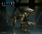 Preview: Runner Alien Actionfigur, Aliens: Fireteam Elite, 23 cm