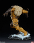 Preview: Sabretooth Premium Format