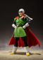 Preview: Great Saiyaman SHF