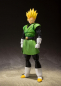 Preview: Great Saiyaman SHF