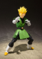 Preview: Great Saiyaman SHF