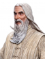 Preview: Saruman the White Statue Figures of Fandom, The Lord of the Rings, 26 cm