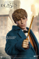 Preview: Newt Scamander MFM