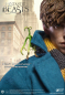 Preview: Newt Scamander MFM